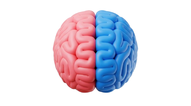 Camin de batrani Bucuresti - Alzheimer Parkinson dementa